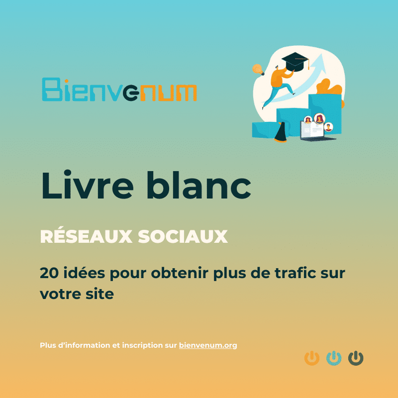 Image d'illustration livre blanc : 20 idées pour obtenir plus de trafic sur votre site